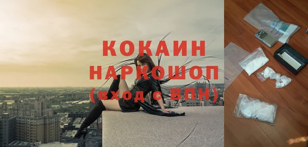 твердый Алзамай