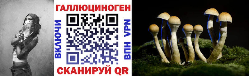 Галлюциногенные грибы MAGIC MUSHROOMS  закладка  Староминская 